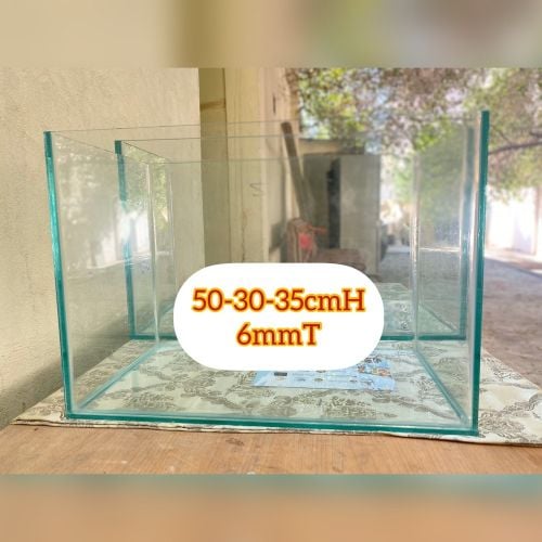 aquarium ( tank )