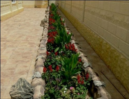 كل مايخص الزرع