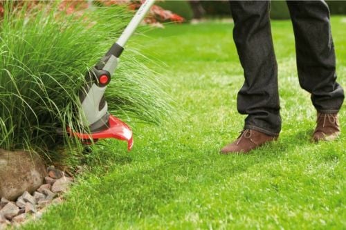 ترتيب وتنظيف الحديقه٠