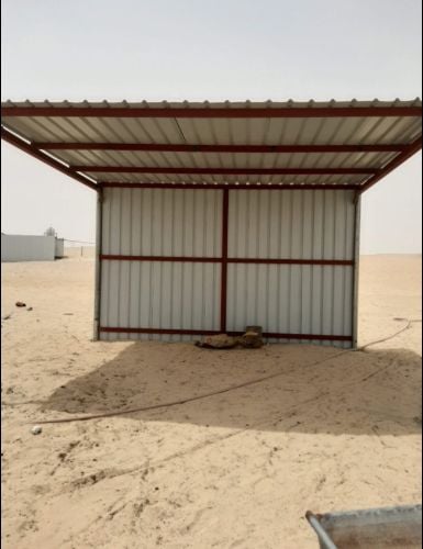 توبالا 2