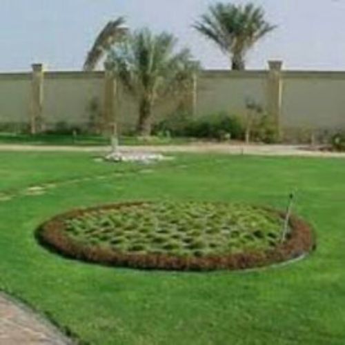 زرعه الحد يق