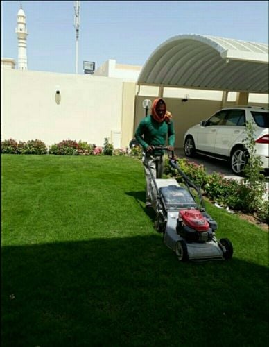 جز العشب وتشكيل الشجر