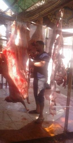 احمد المنصورى