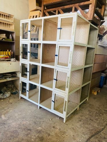 Bird cage 