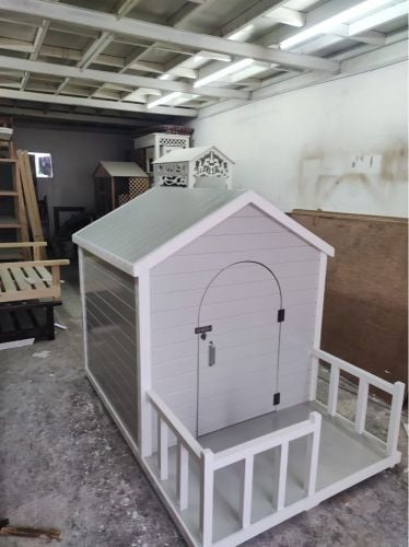 Dog house 