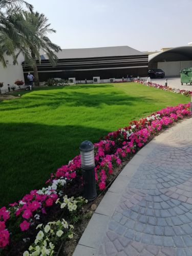 زراعه وترتيب الحدائق