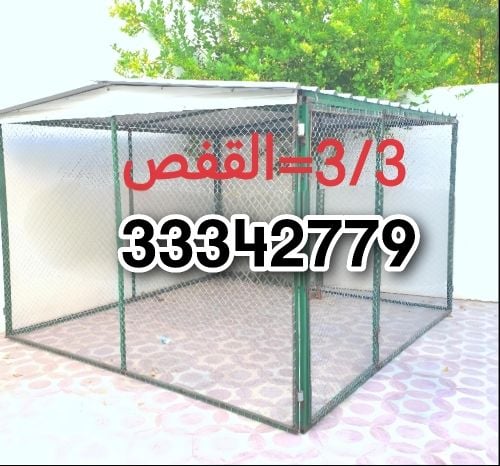 Pigeon cage