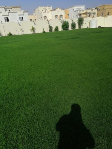زراعه وديكور