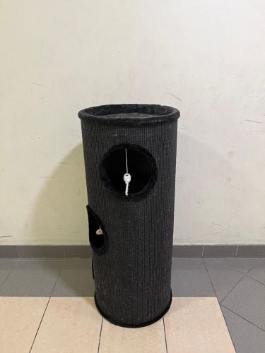 أغراض للقطط