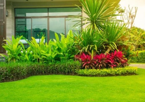 العنايه بالحديقة