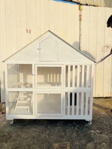 New Cat cage 