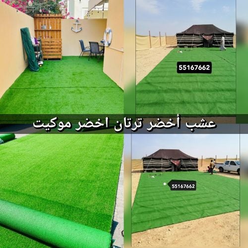 العشب الأخضر، السجاد الأخضر، السج