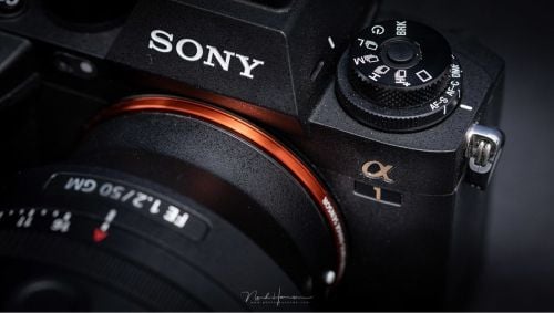photographer female and male