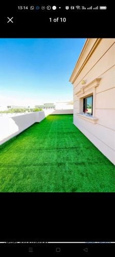 سجادة تارتان خضراء