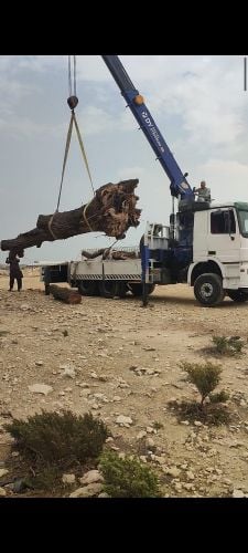10 TAN BOOM TRUCK CRAIN FOR RENT