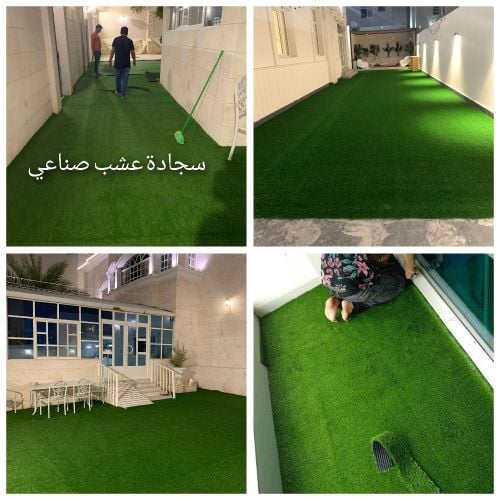 مخيمات الكارب الأخضر