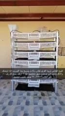 Chicken breeding cages