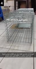 للبيع أقفاص فخ صيد قطط