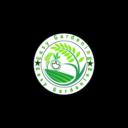 graphics design