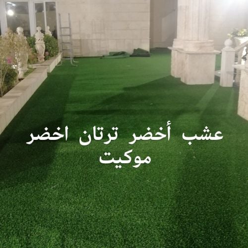 عشب أخضر ترتان اخضر موكيت