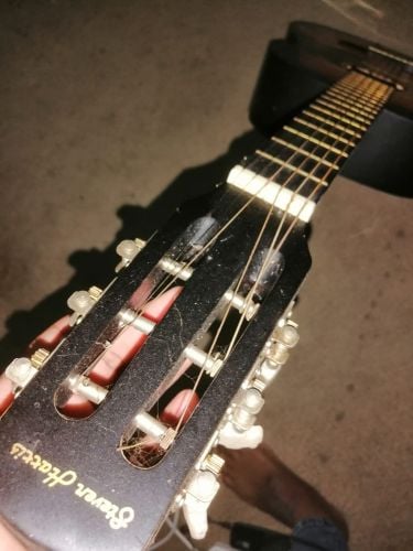 musical instrument