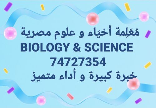أم عمار 