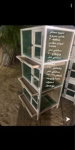 Pigeon cages for sale