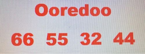 Fancy Number 