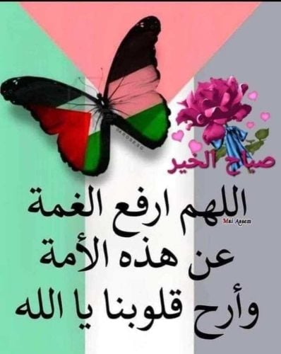 مس نجاة