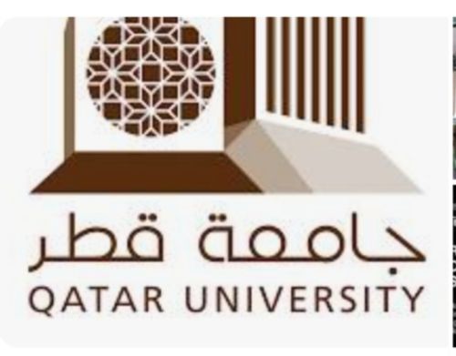 تعليم جامعي