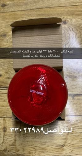 Light to warm chicks