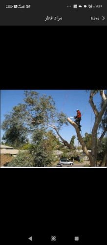 مزارع ومقطع اشجار