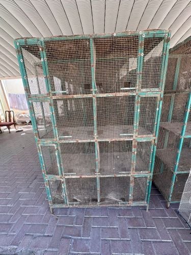 all are non used 30566594