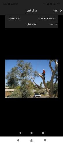 مزارع ومقطع اشجار