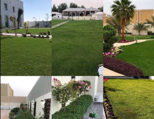 تنظيف وترتيب الحدائق