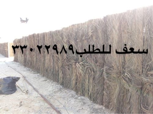 بيع عريش سعف مظلات