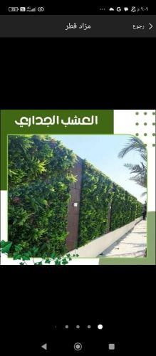 توريد وتركيب العشب الطبيعي