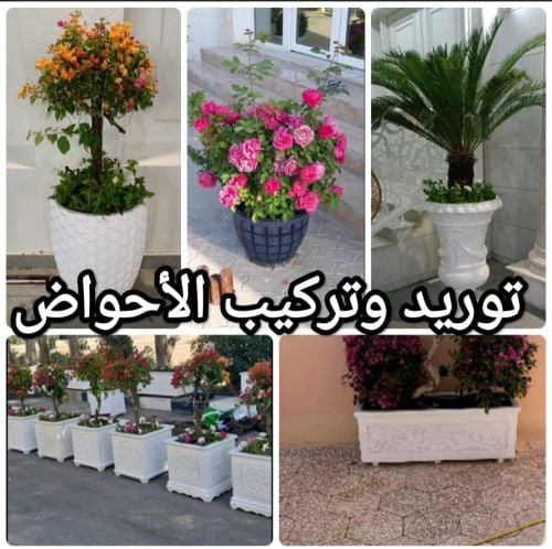 ترتيب وتنظيف الحدائق