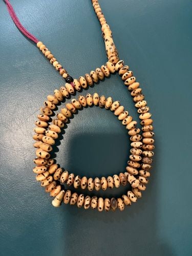 مسباح عود الصليب (الفاوانيا)