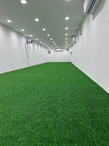 الكارب العشبي