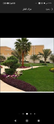 نخيل زراعه الحدائق