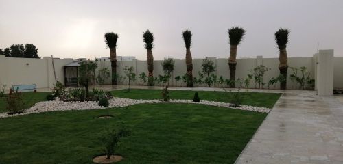 زراعه وديكور