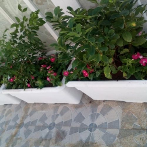 احواض زراعة
