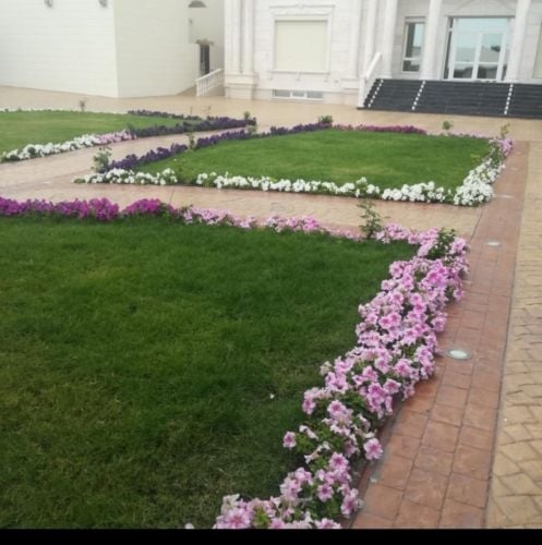 تنسيق وزرعه الحديقة والصيانة