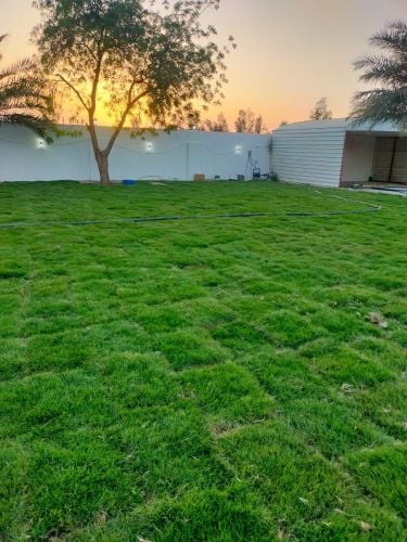 ترتيب النجيل الطبيعي