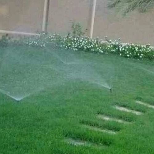 عشب طبيعي وصناعي