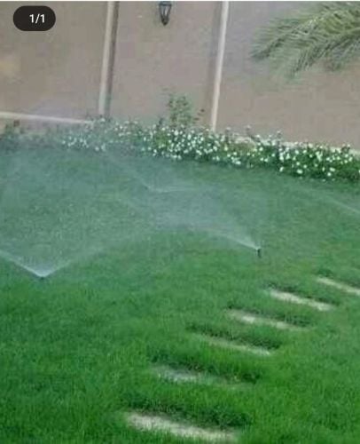زراعه م