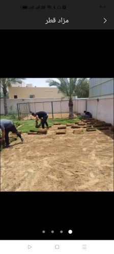 زراعة الحشيش الطبيعي وشبكة الرى
