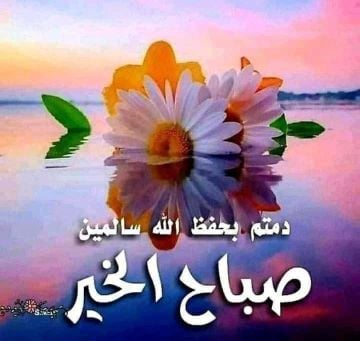 مطلوب ممول لفكره مشروع 