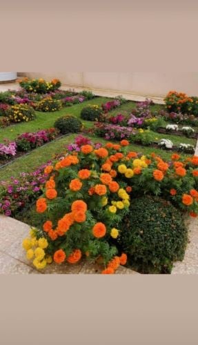 Garden decor and agriculture